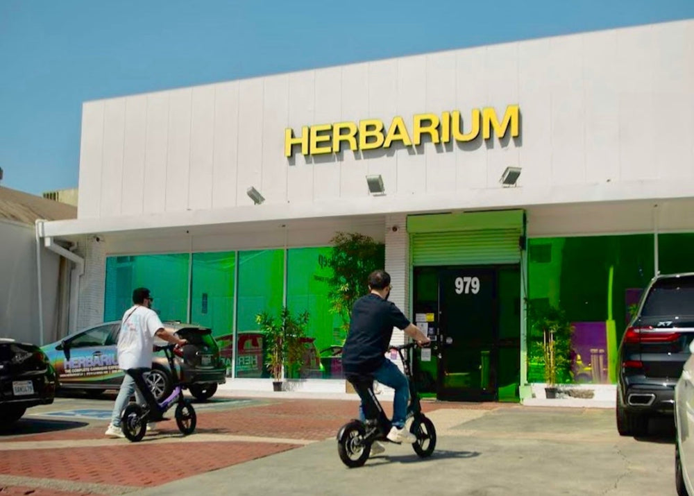 Herbarium - West Hollywood interior