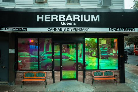 The Empire State Goes Green: How Cannabis Legalization Is Transforming New York City