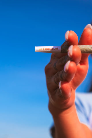 Ridgewood Locals’ Guide to Finding the Best Weed in Queens, NY