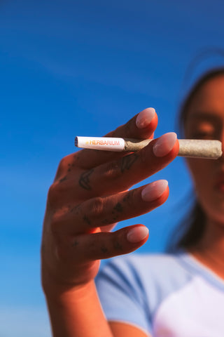 Questioning Fast Weed Delivery and Choosing Quality Instead