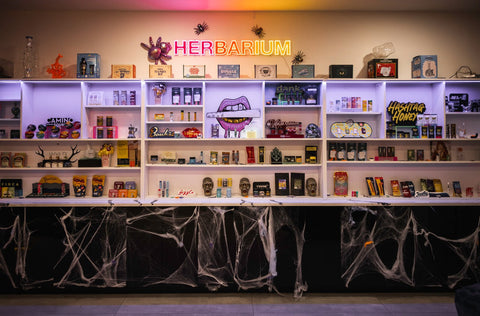 What Your First Herbarium Dispensary Visit Should Really Feel Like
