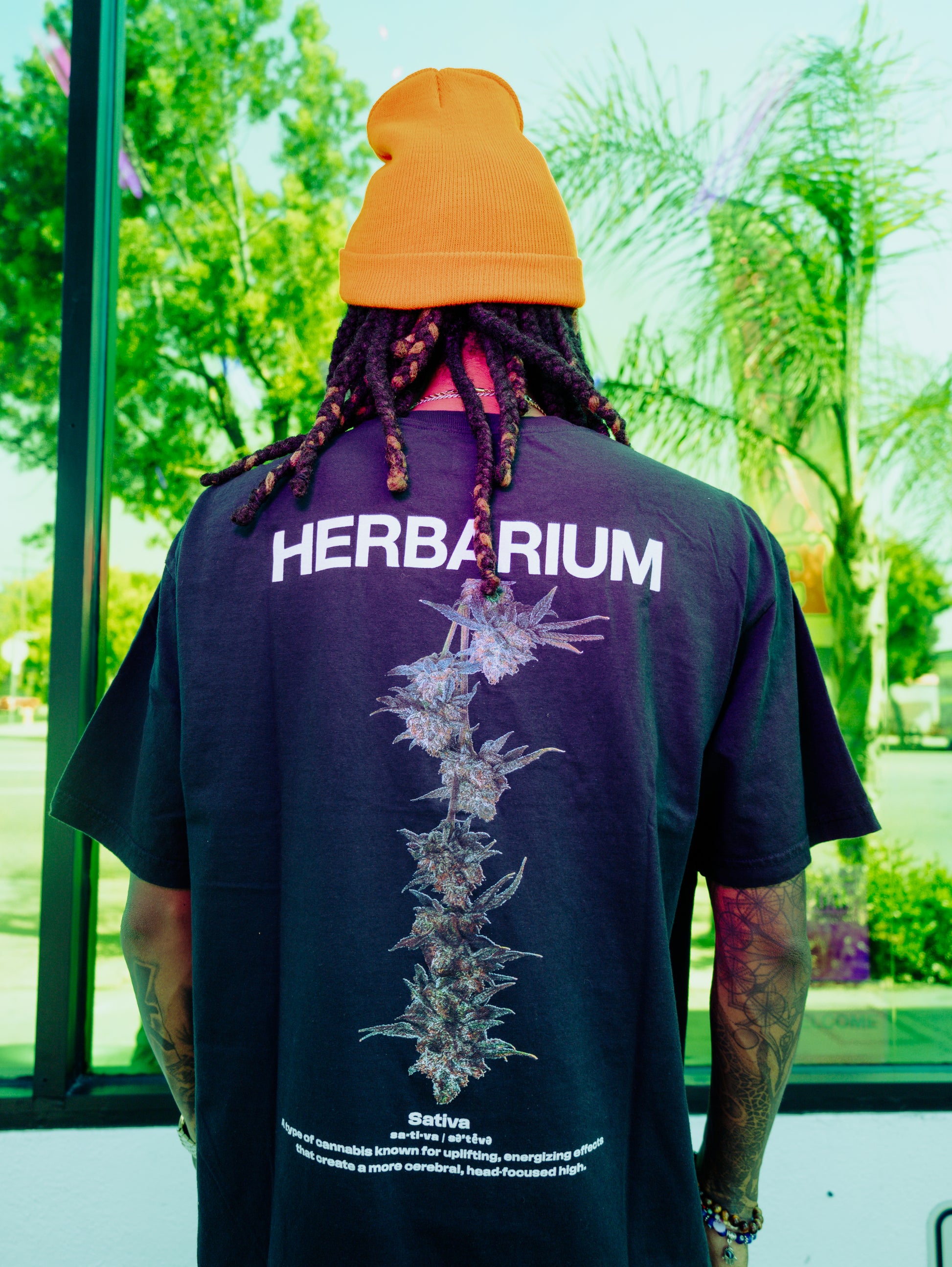 Herbarium Sativa Tee back view