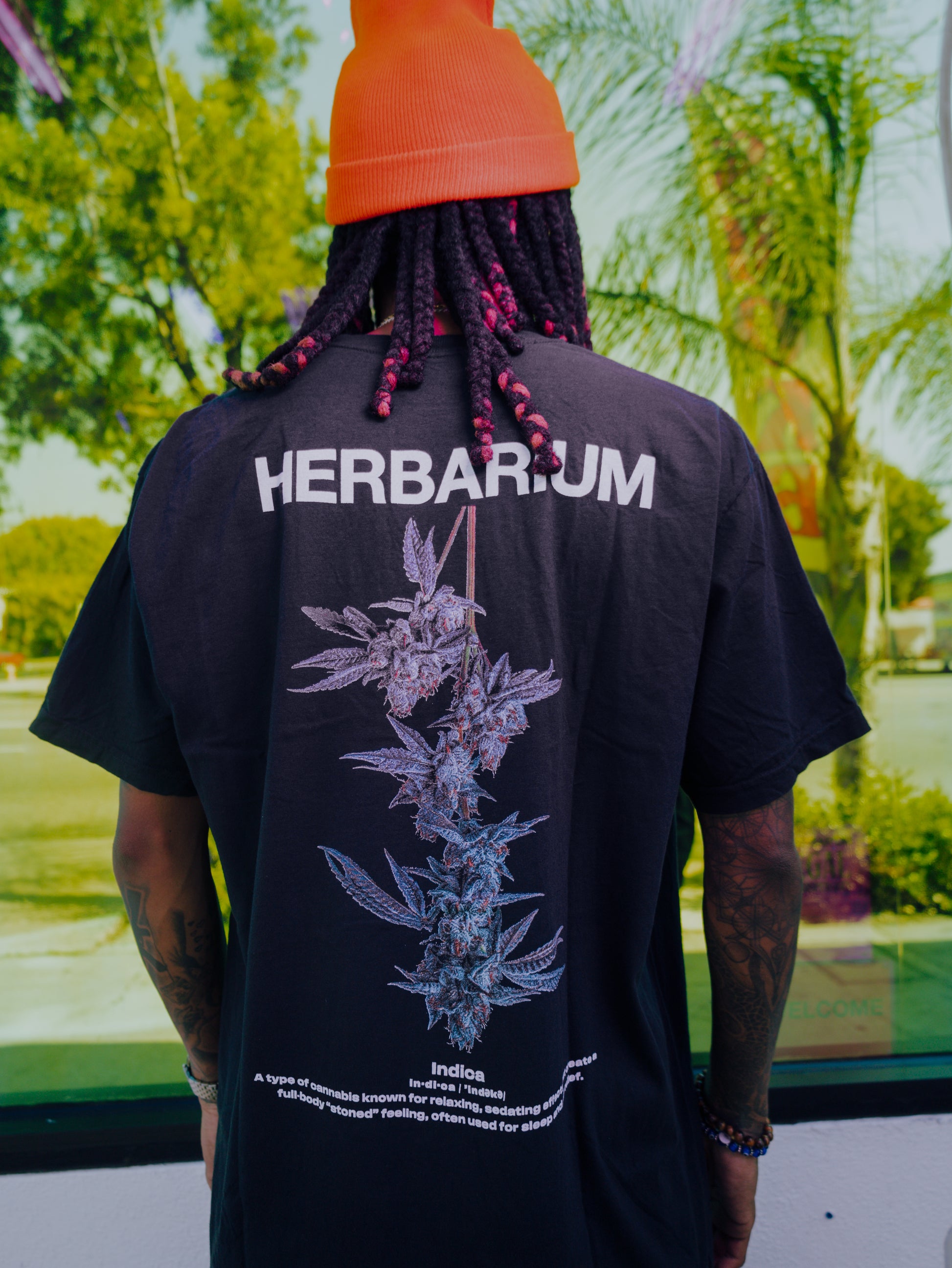 Herbarium Indica Tee front view
