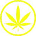 Herbarium Weed Dispensary Ridgewood Queens NY